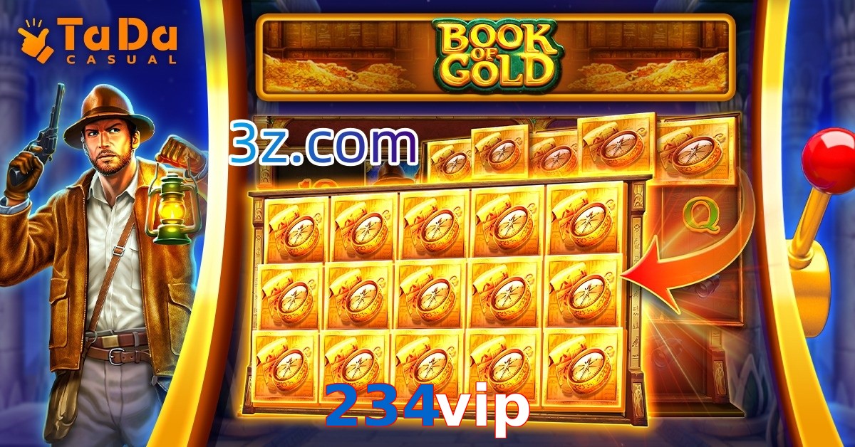 234vip